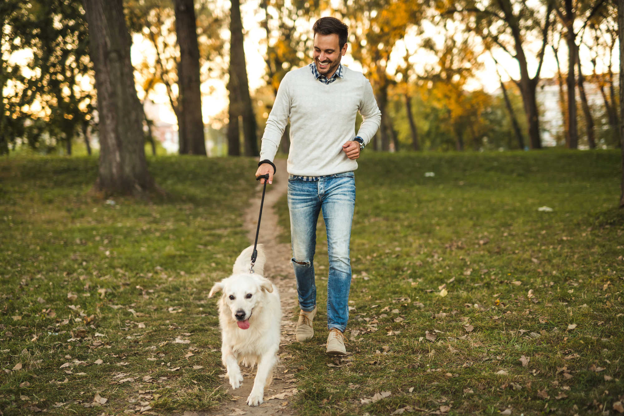 Full outdoor shot of a man walking a dog in a park.