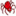 Spider favicon.